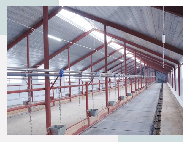 Строительство коровников в Шуе от 617 руб.