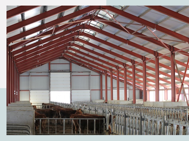 Строительство коровников в Шуе