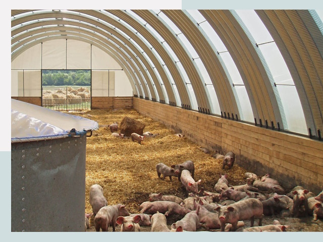 Строительство свинарников в Шуе