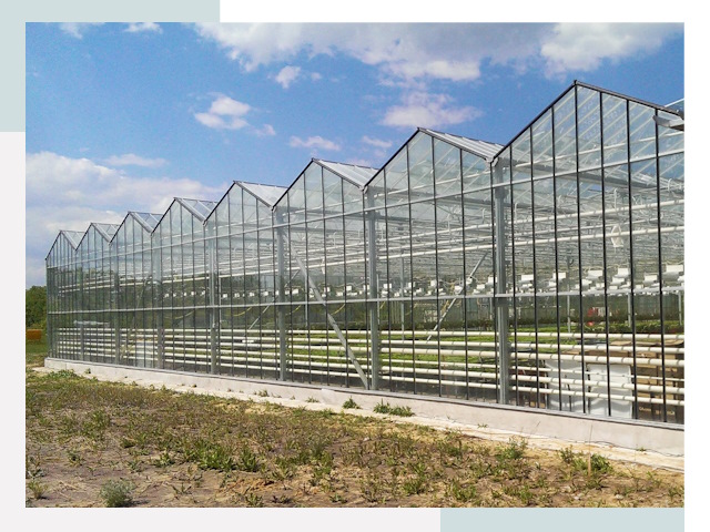 Строительство теплиц в Шуя от 617 руб. за м²