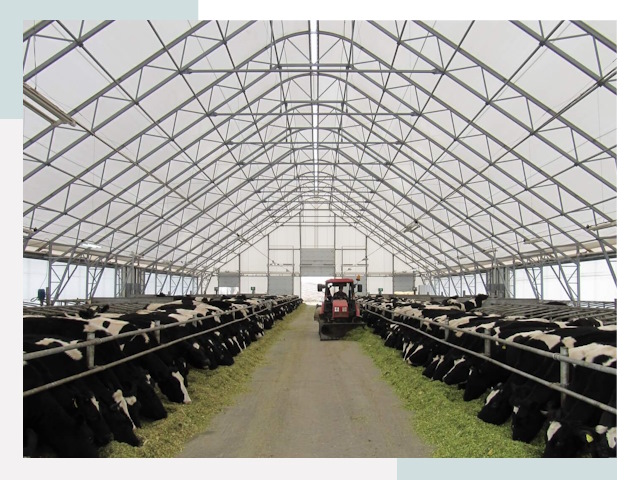 Тентовые коровники в Шуе от 617 руб. - Надежно и доступно